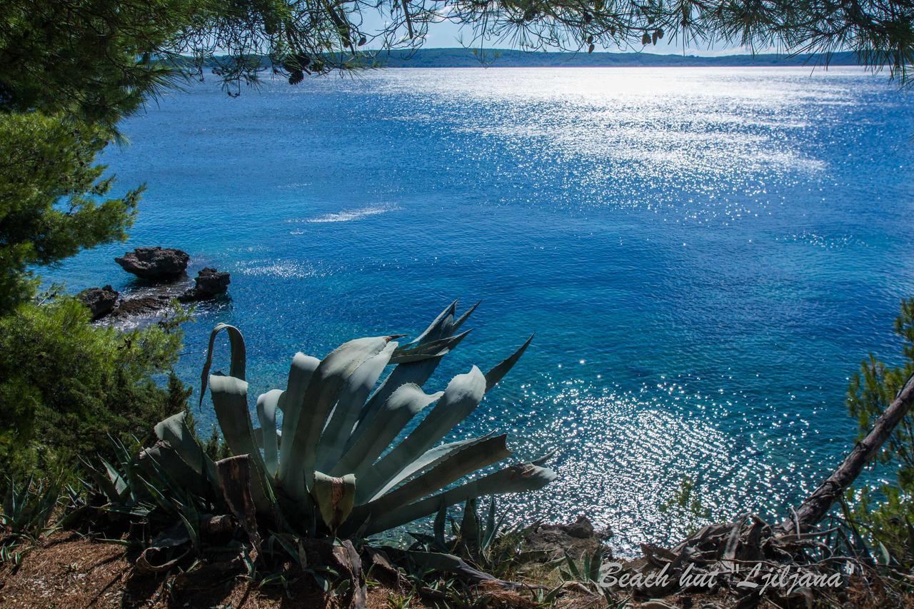Cast Away - Eco Resort ซาวาลา ภายนอก รูปภาพ